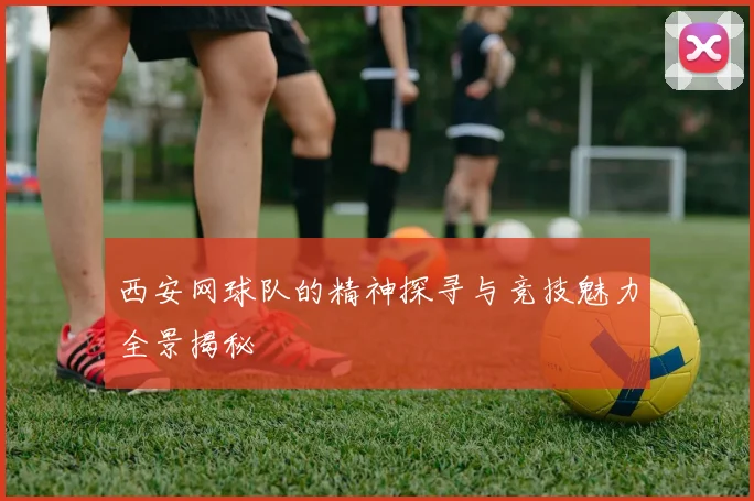 西安网球队的精神探寻与竞技魅力全景揭秘